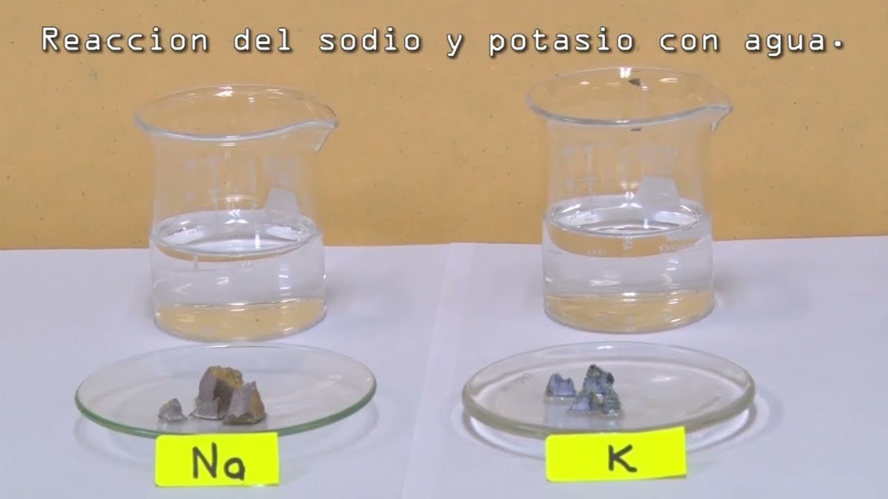 Reacci&oacute;n del sodio y potasio con agua