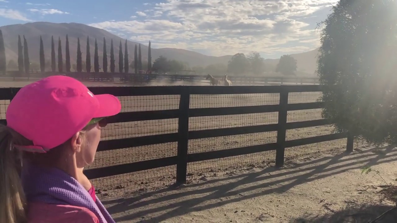 9 Miles of Perseverance. Sabine's running Vlog # 1.