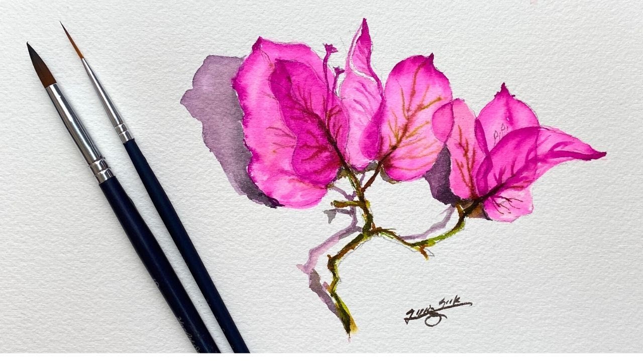 Watercolor Painting - Bougainvillea Flowers-Draw in Detail-Wet on Dry technique-Tutorial.