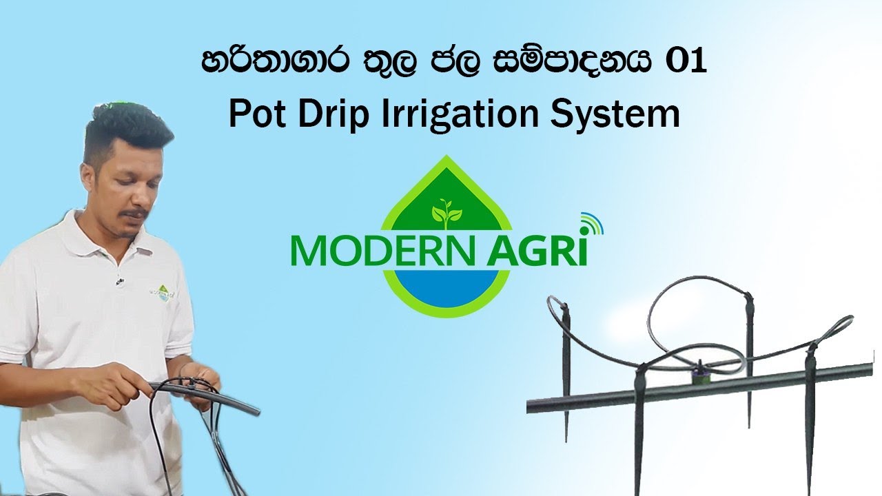 Pot Drip Irrigation in protected houses / හරිතාගාර තුල ජල සම්පාදනය - 01