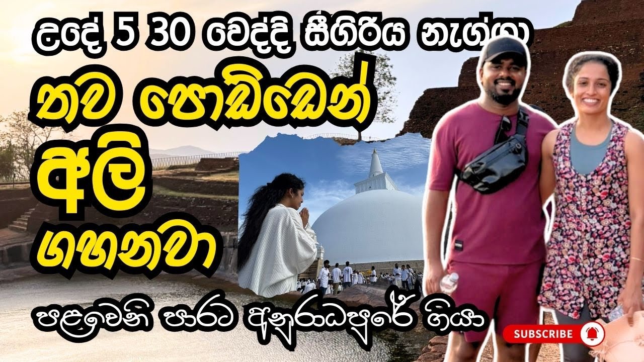 උදේට සීගිරිය උඩ මෙච්චර ලස්සනද |දවසින් ශ්‍රී මහා බෝධියට කිරි ආහාර පූජා කරලා අටමස්ථානෙත් වැන්දා