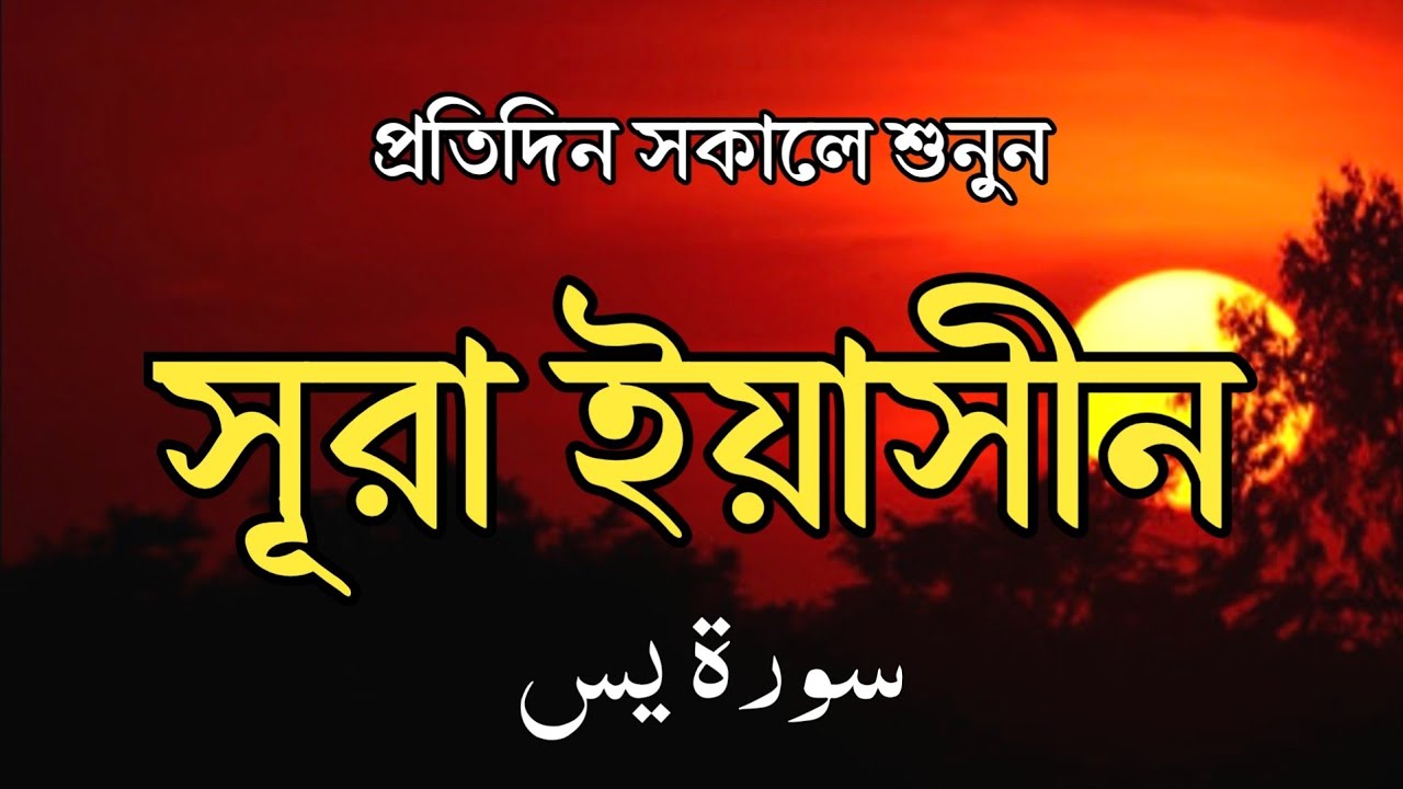 প্রতিদিন সকালে শুনুন - সূরা ইয়াসীন |(سورة يس)| Surah Yasin | সকালের সেরা আমল | BY ISMAIL NURI