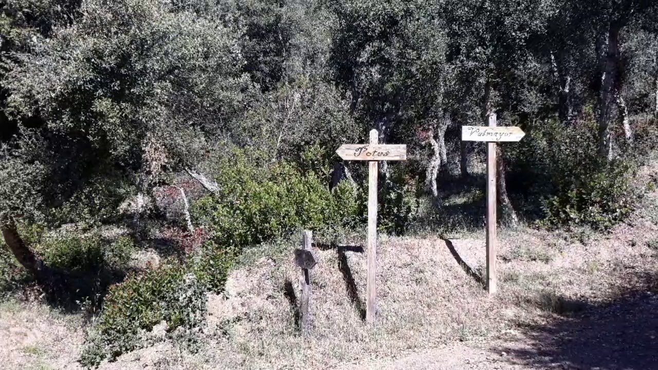 La Viorna