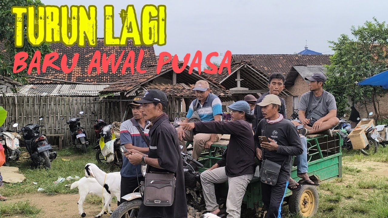 PUASA BARU BERAPA HARI.. HARGA KAMBING MURAH LAGI.. Pasar Sukanegara Bangunrejo 