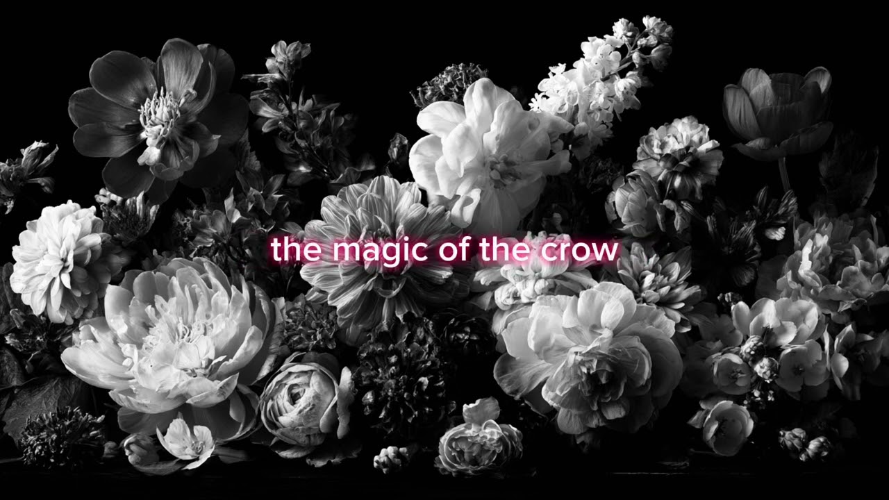 Black or White - Cynthetic - #originallyrics #suno #shoegaze #noisepop #dreampop 