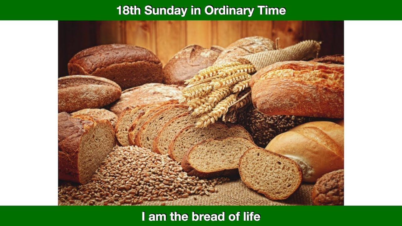 I am the bread of life.  Homily for the 18th Sunday in Ordinary Time, Year B