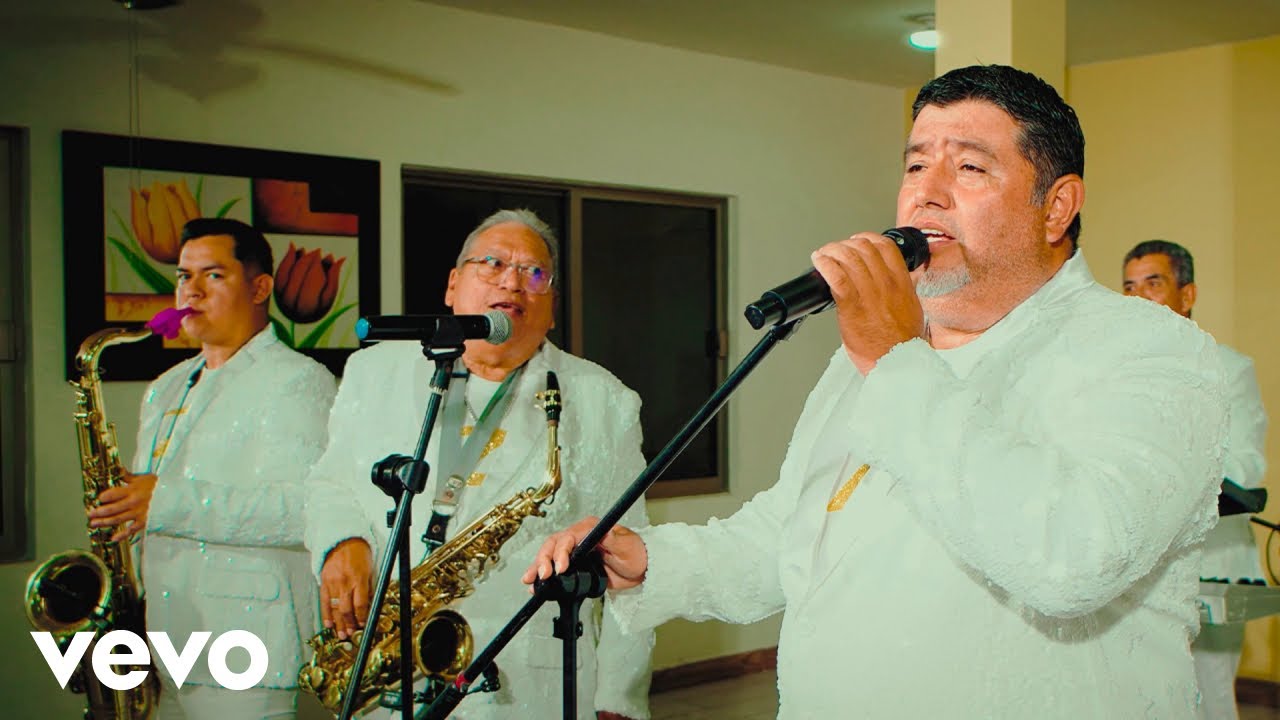 Los Zemvers - Usted Señora