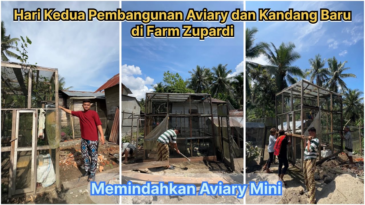 Hari Kedua Pembangunan Aviary dan Kandang Baru di FARM ZUPARDI