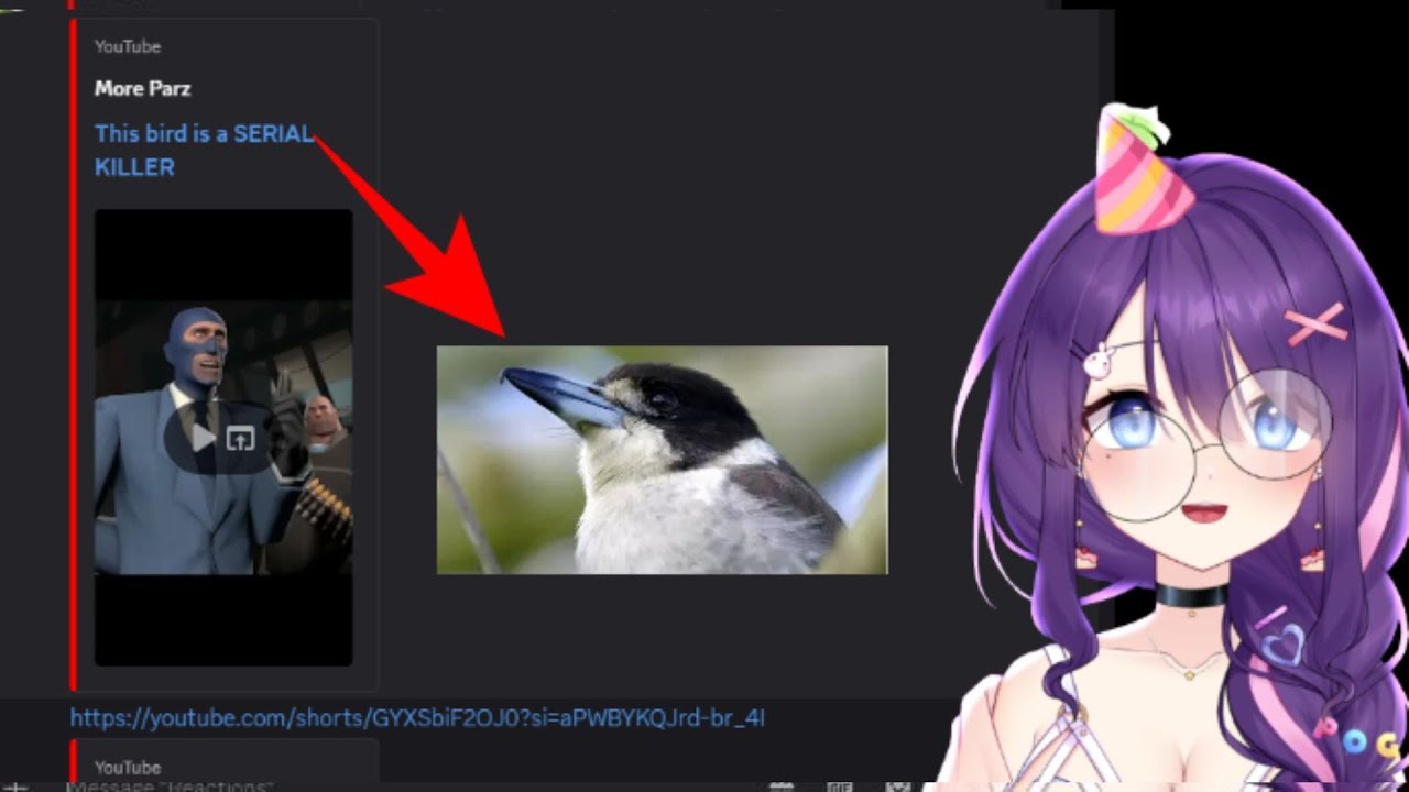 Rei reacts to chat submitted videos on discord