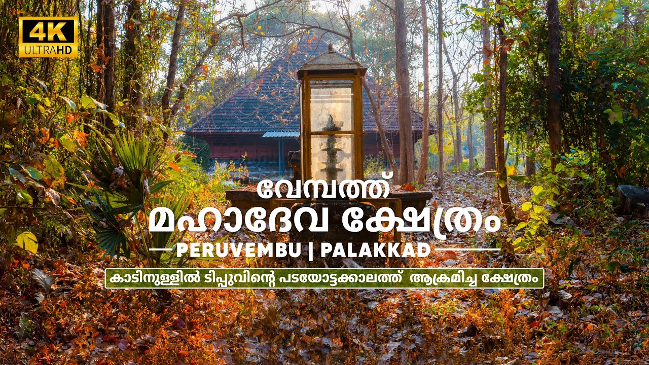 ശിവ കാവ് | Vembath Mahadeva Temple | An Ancient Temple Inside Forest | Palakkad | Malayalam Vlog