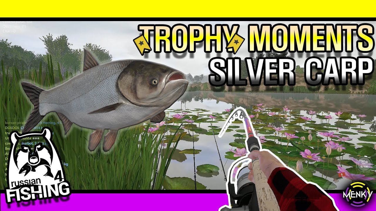 [Trophy Moments] Silver Carp [191101][Russian Fishing 4]