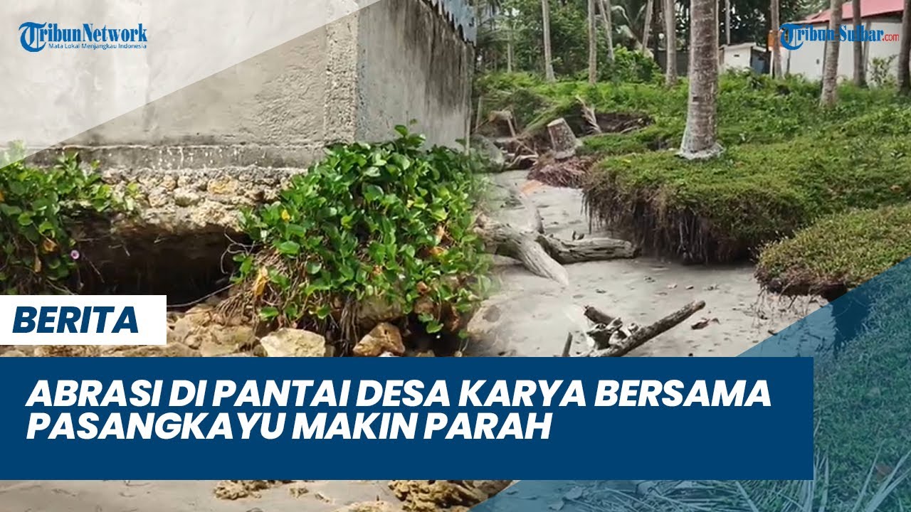 Ancam Pemukiman Warga, Abrasi di Pantai Desa Karya Bersama Pasangkayu Makin Parah