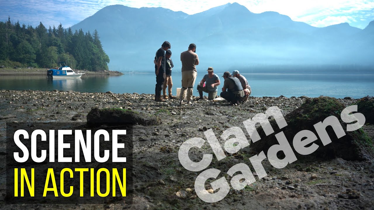 Clam Gardens, Ancient Indigenous technology and sustainable food source | Science In Action
