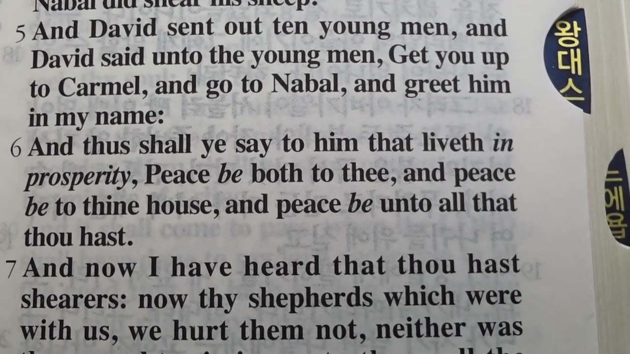 1  Samuel   25