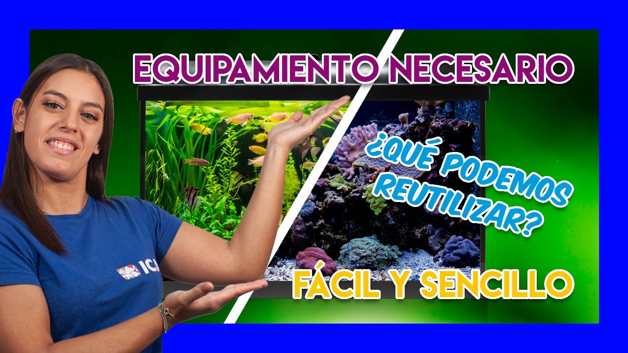 Convertir acuario de agua dulce en acuario marino