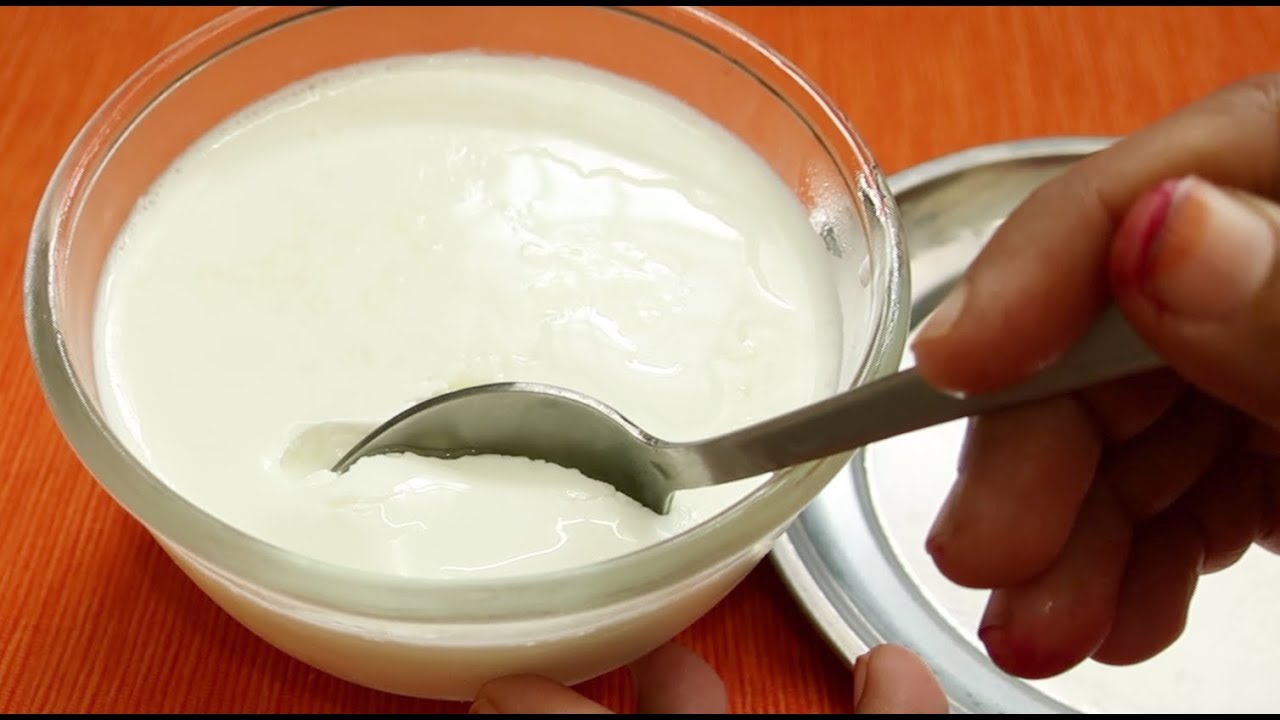 How to make thick curd | Homemade Curd | How to make Thick Curd