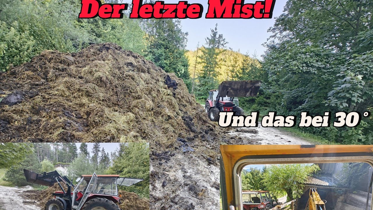Farmvlog #17 Der letzte Mist muss schnell raus bei über 30 Grad im Schatten! I Mikej Hof