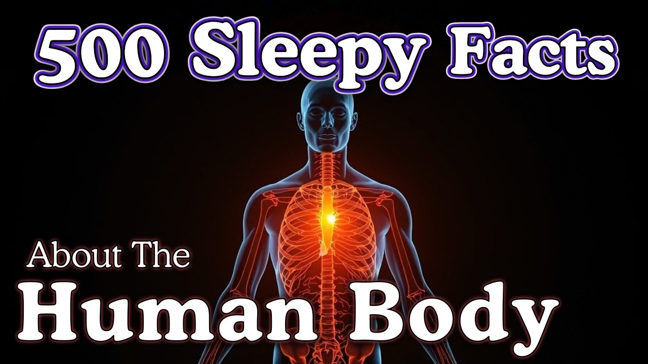 The Human Body &mdash; 10 Hours of Facts to Fall Asleep To &mdash; No Adverts