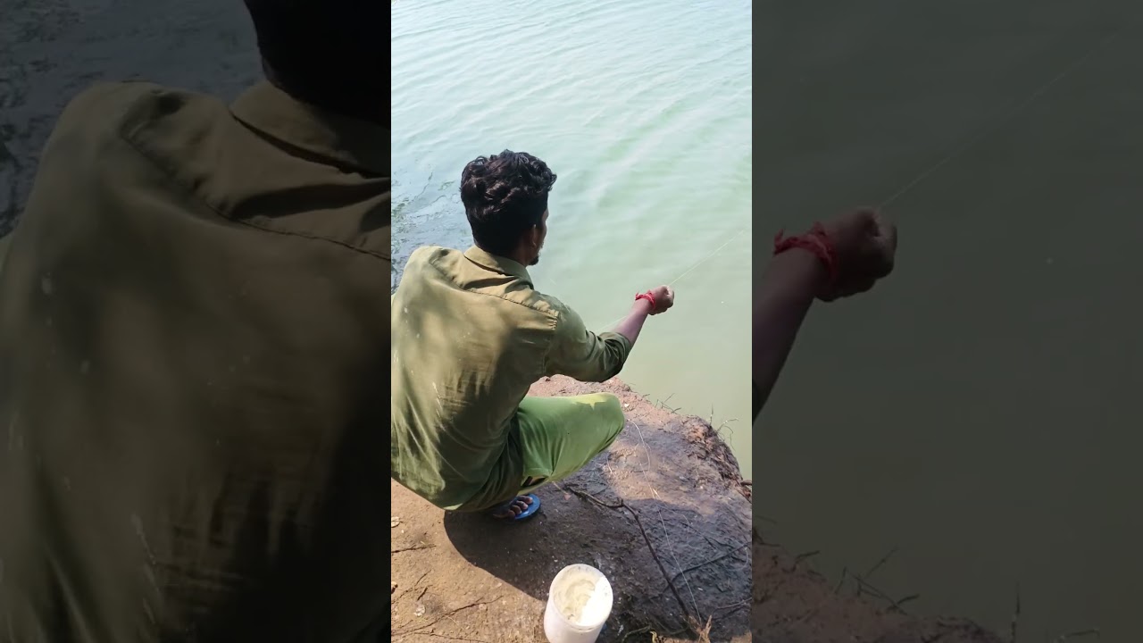 MULLET FISH MAGNET TRAP! 🤯 (Only Water Bottle + Maida Flour)