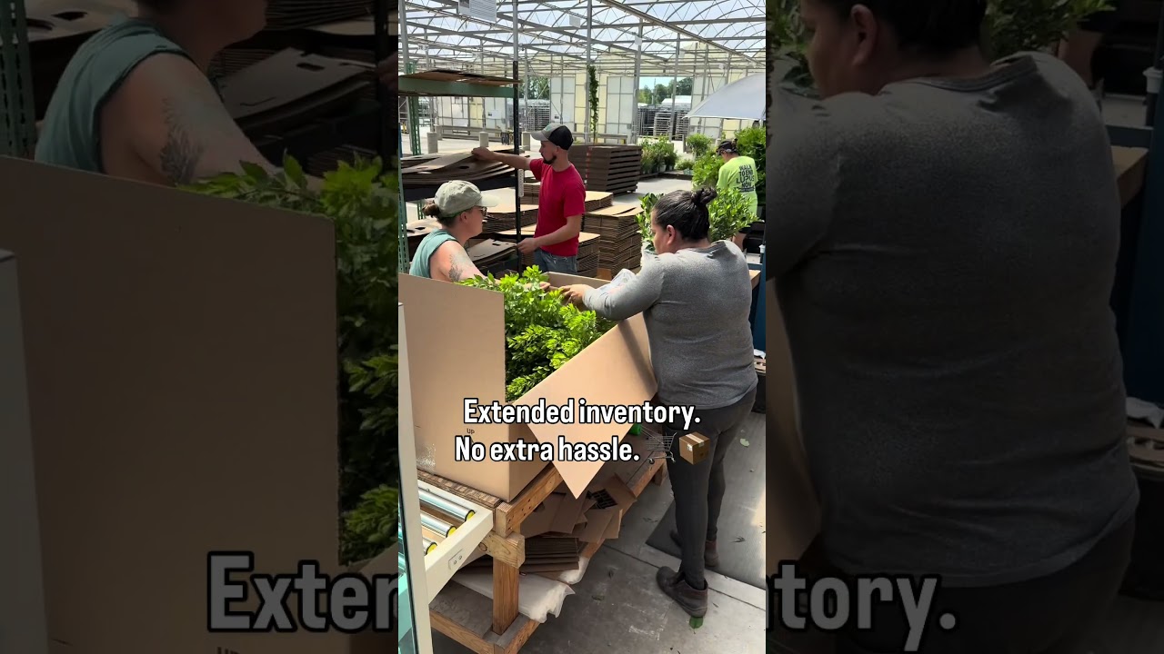 From 100 Boxes to 1,300 Plants a Day 🌱📦 | Willoway Shipping Story