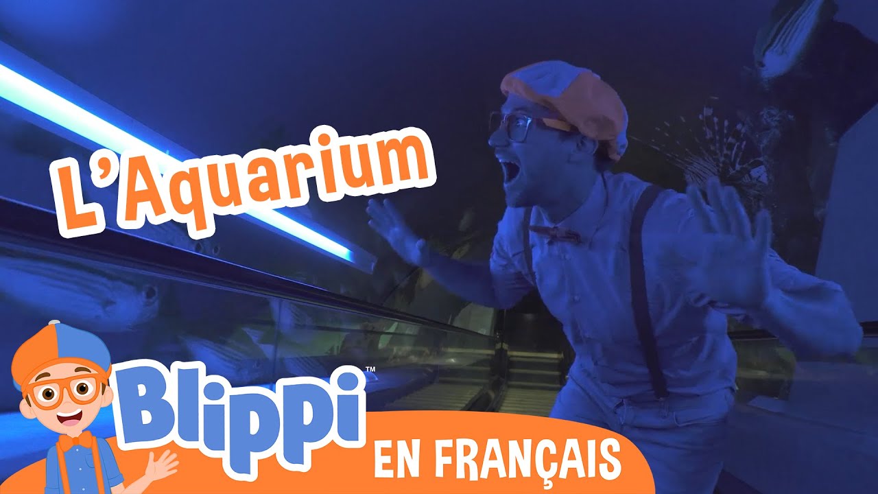 Blippi visite un aquarium