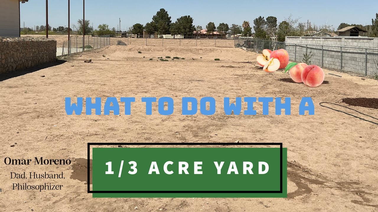 West Texas Desert. What to do with a 1/3 acre yard in the desert! #yard #gardening #Dad