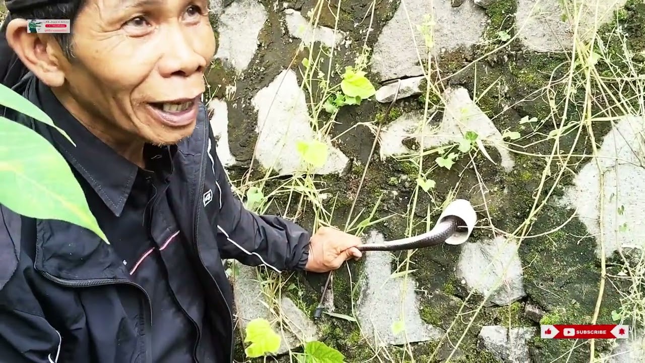 Waspada.. Cek Saluran Ini Sebelum Terlambat @kirayuular 