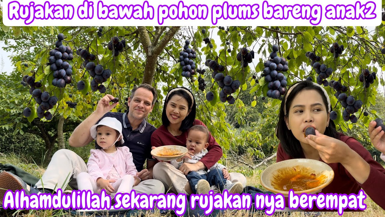 PERTAMA KALI RUJAKAN DI BAWAH POHON PLUMS BARENG ANAK2 || ALHAMDULILLAH SEKARANG RUJAKAN NYA BER4