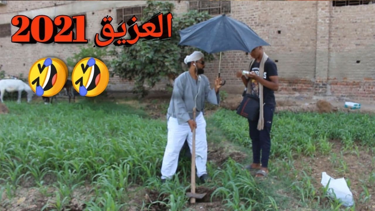 العزيق 2021 هتضحك من قلبك مع ظرفاء الصعيد🤣🤣