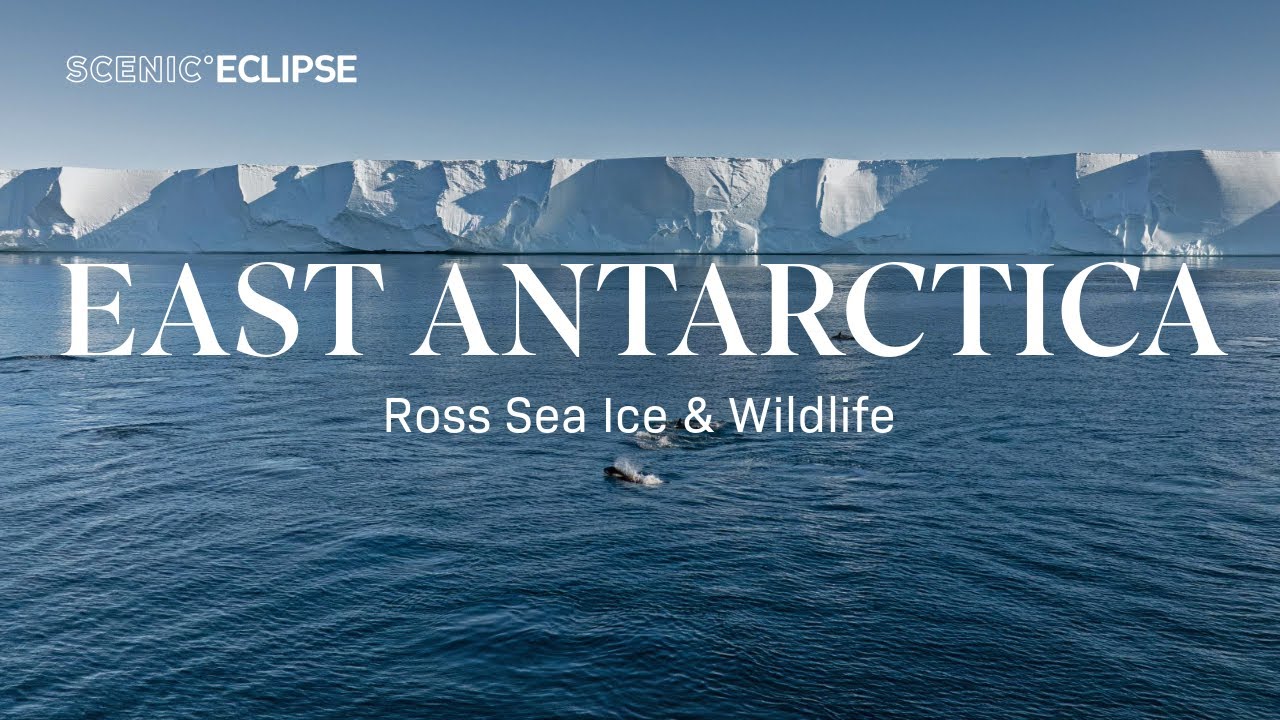 Scenic Eclipse | East Antarctica: Ross Sea Ice & Wildlife