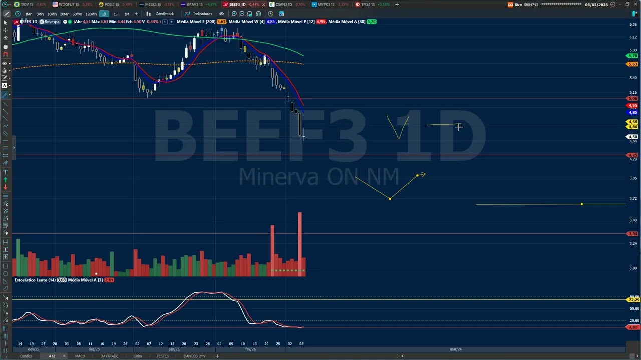 AN&Aacute;LISE T&Eacute;CNICA BEEF3