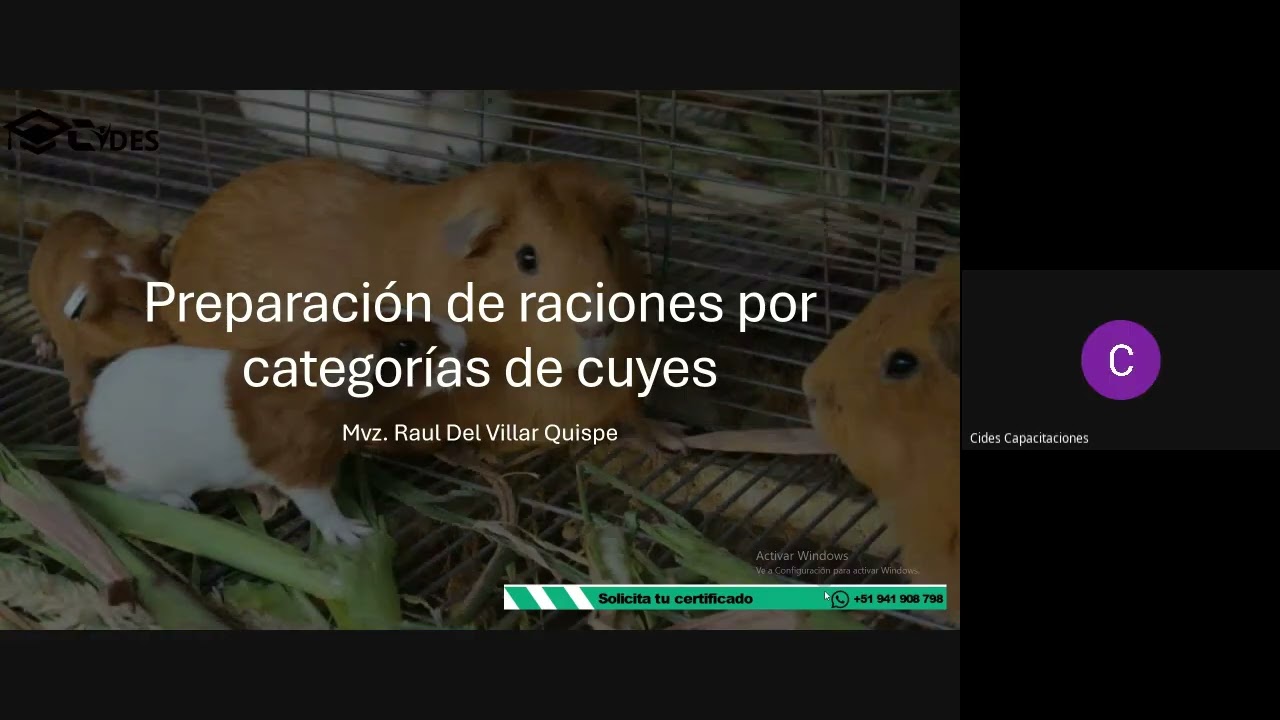 🐹🌿 𝐏𝐑𝐄𝐏𝐀𝐑𝐀𝐂𝐈𝐎́𝐍 𝐃𝐄 𝐑𝐀𝐂𝐈𝐎𝐍𝐄𝐒 𝐏𝐎𝐑 𝐂𝐀𝐓𝐄𝐆𝐎𝐑𝐈́𝐀𝐒 𝐄𝐍 𝐂𝐔𝐘𝐄𝐒