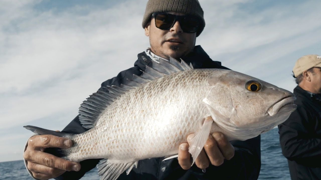 Offshore Winter Mangrove Snapper Fishing | GOLIATH FISHING