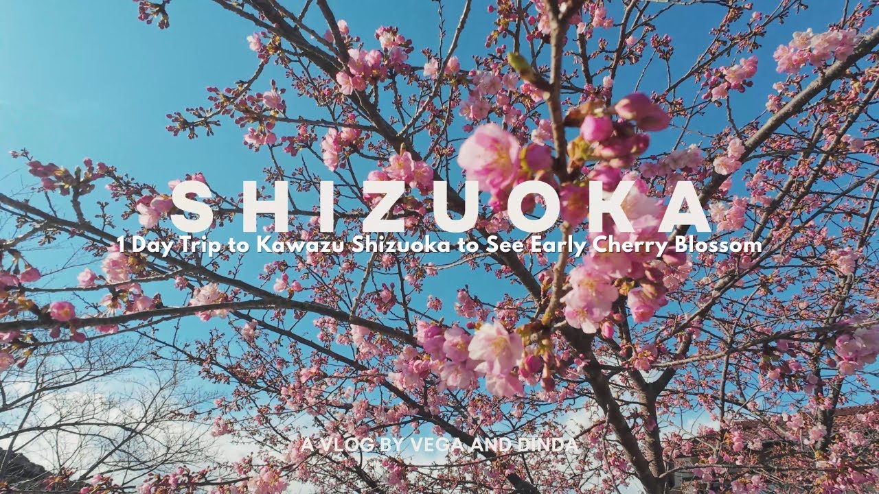 JAPAN VLOG PART 5 I 1 DAY TRIP TO SHIZUOKA | STRAWBERRY PICKING | EARLY CHERRY BLOSSOM IN KAWAZU