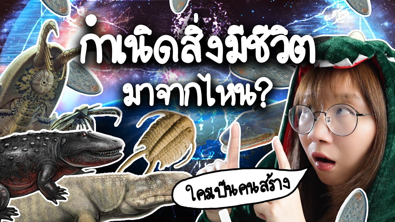 กำเนิดสิ่งมีชีวิต มาจากไหน? ใครเป็นคนสร้าง? | Point of View