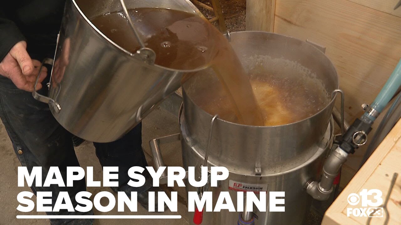 Greene Maple Farm unveils new sugar house, boosting maple syrup production