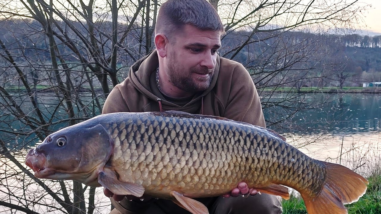 Même les carpes méfiantes ont craqué !