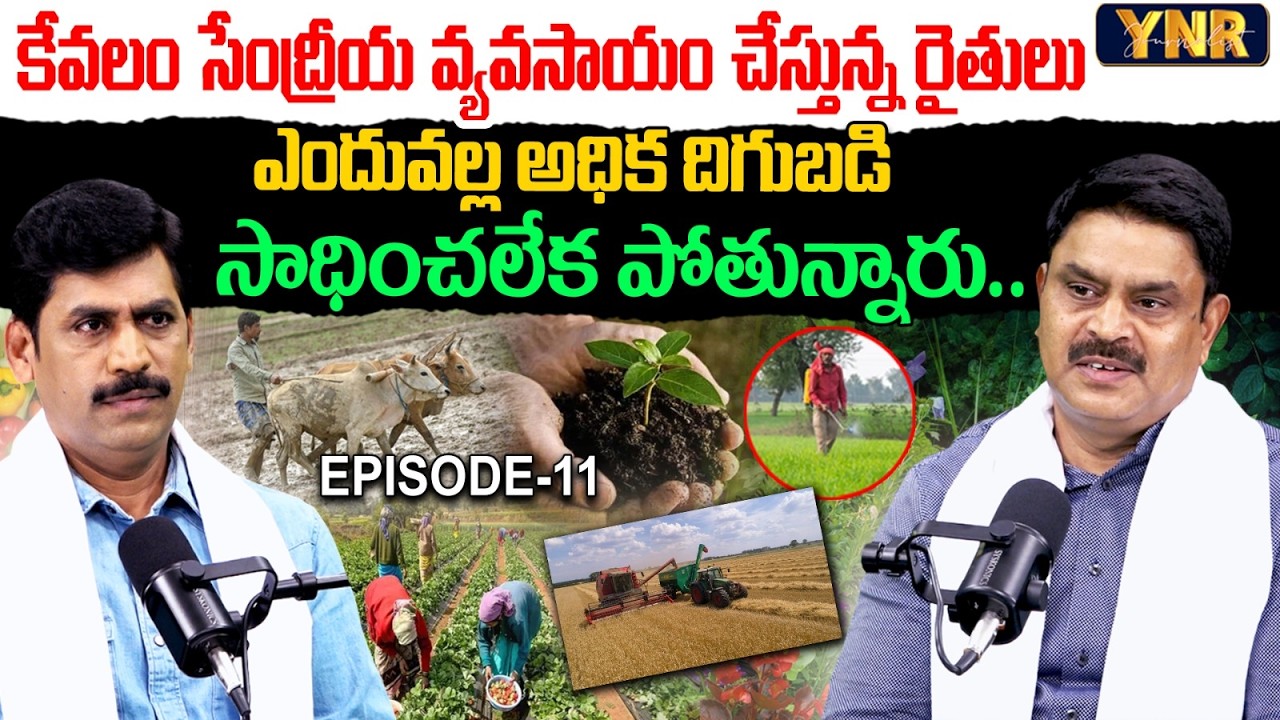 Why Organic Farmers Are Struggling to Achieve High Yields? | Episode-11 | Rajasekhar Reddy | YNR