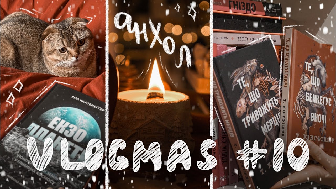 АНХОЛ 📖 шукаю по поличках книги, з якими готова попрощатись || Vlogmas 10