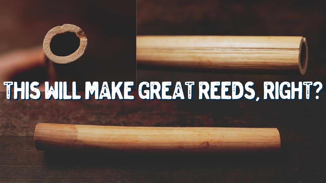 Selecting The Right Cane to MAKE YOUR REEDS BETTER! | Bassoon Reed Making