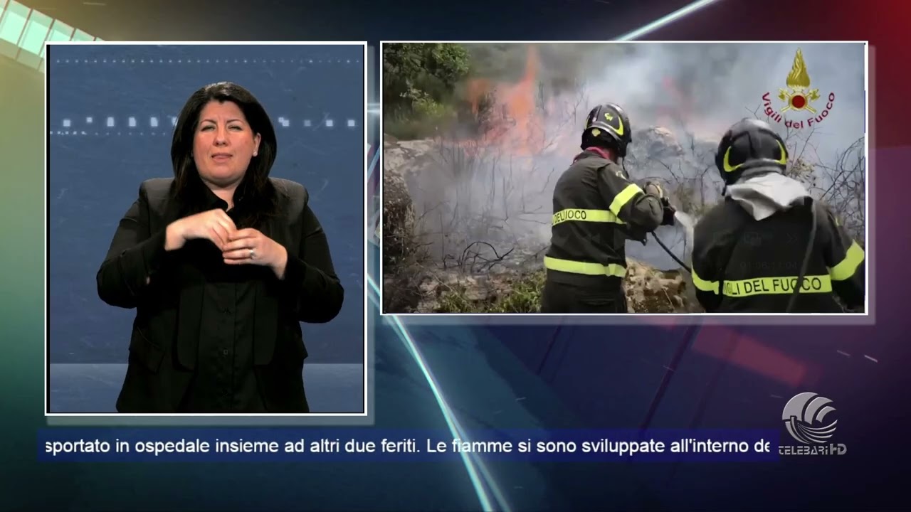 TG lis 12 03 26 ore 12 15