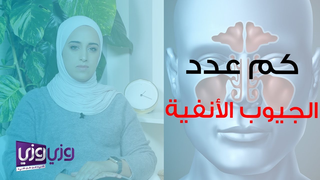 كم عدد الجيوب الأنفية