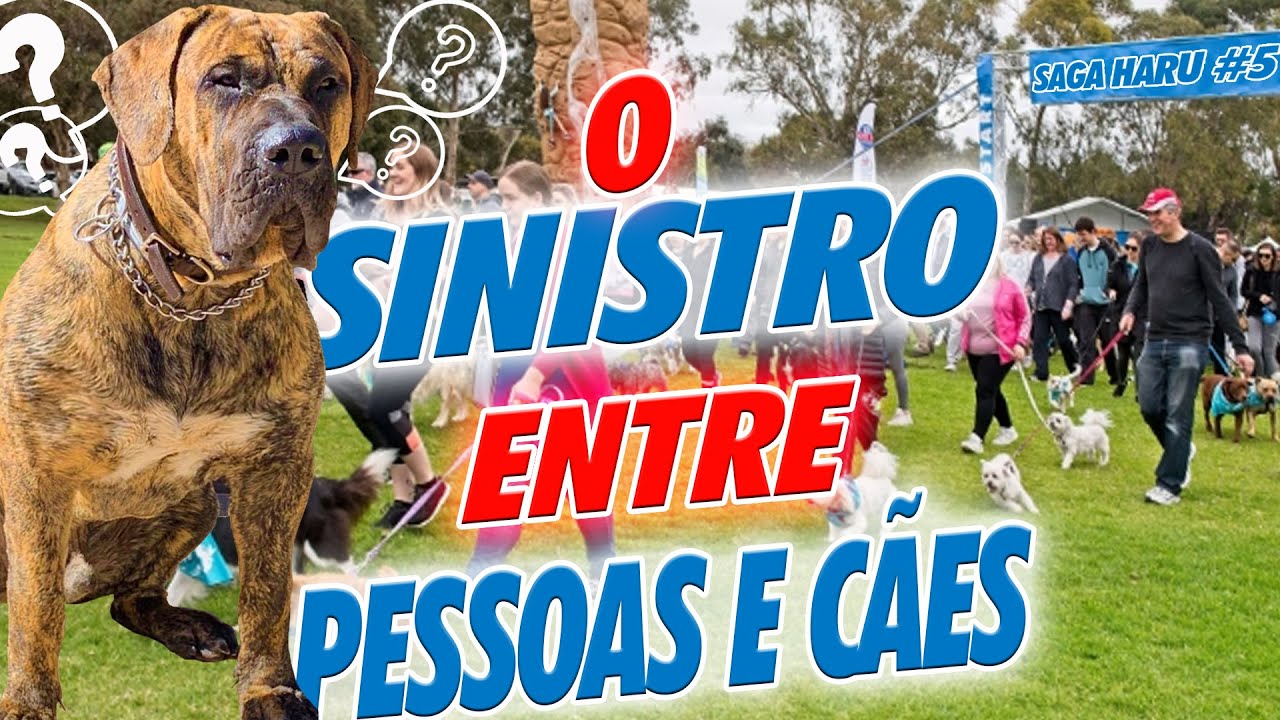 TREINAMENTO FINAL ANTES DA PROVA OFICIAL- SAGA HARU #5