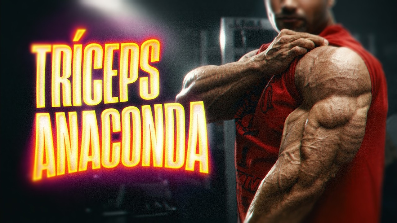 Cómo Construir Tríceps de Anaconda (TOP 3 Ejercicios)