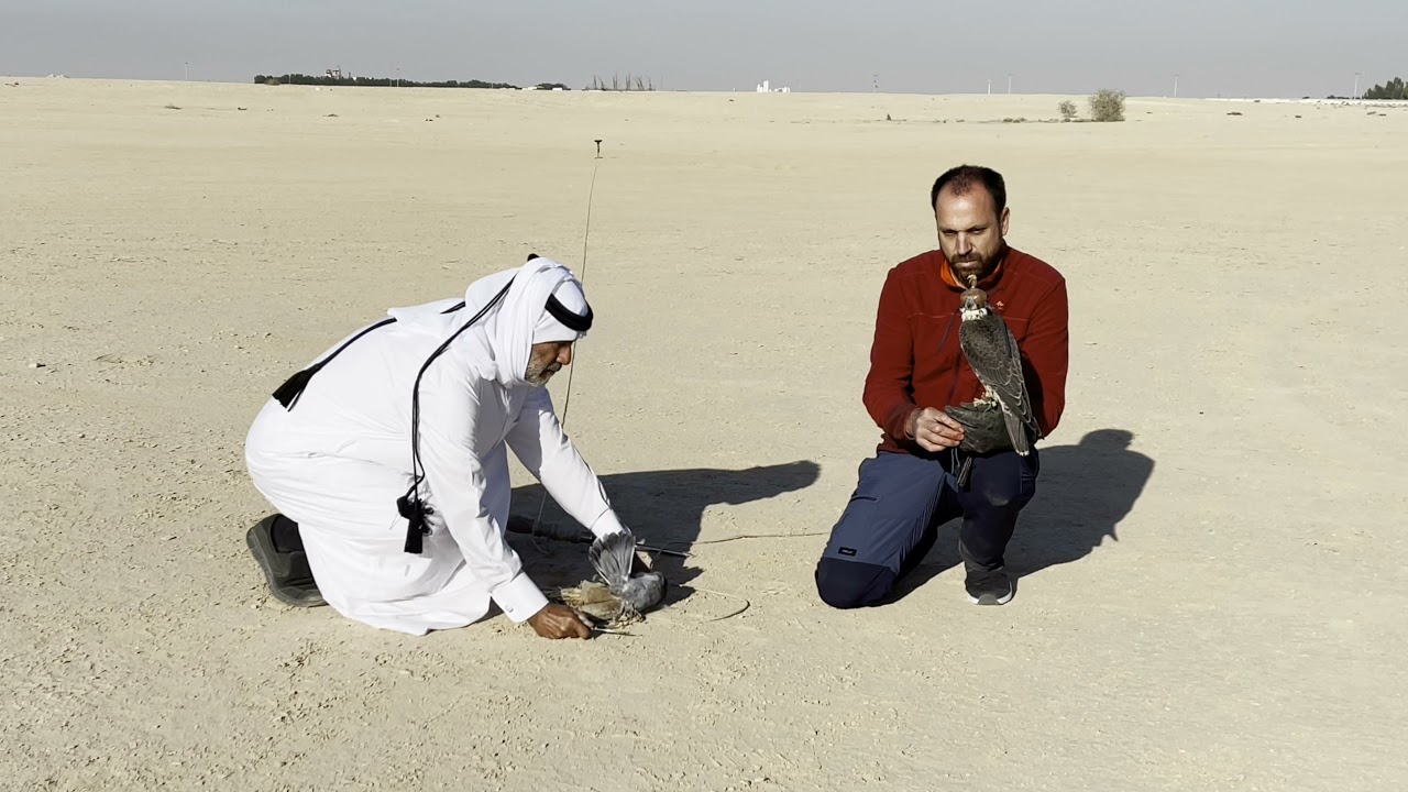 الوَحَشْ فِي العَسْكَرِيَةْ 👈🏾 الدَوْرَةْ الثانية فِي الإِمَالَقْ الفَصْلْ التَأْسِيسِي مِنْهَا