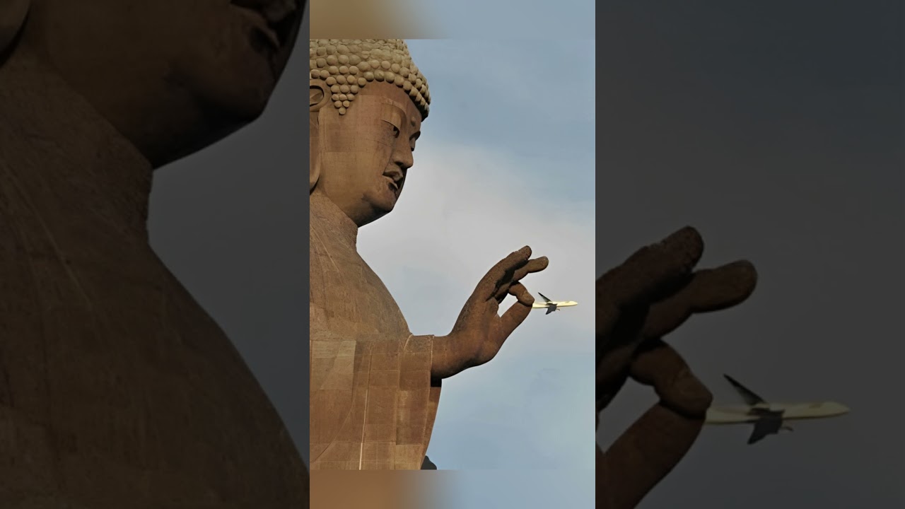 Pictures that are perfectly timed...😌