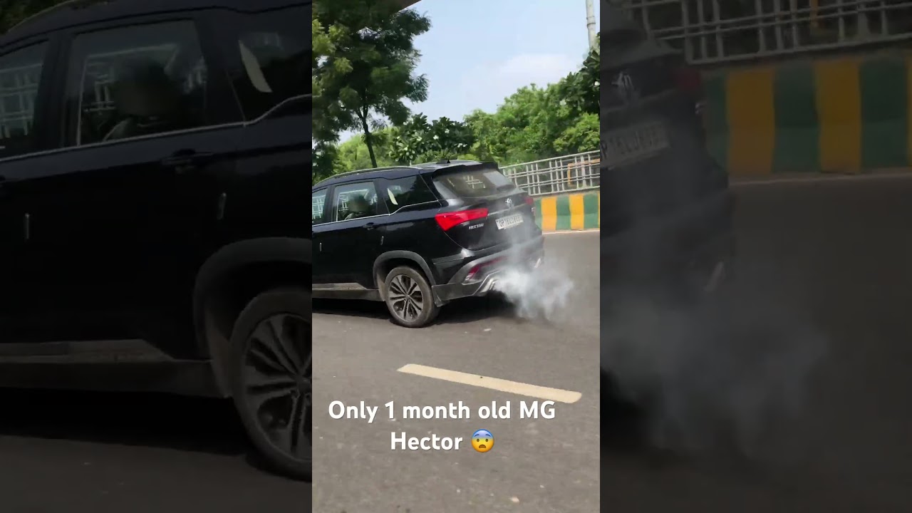 Why MG Hector fail in India😨