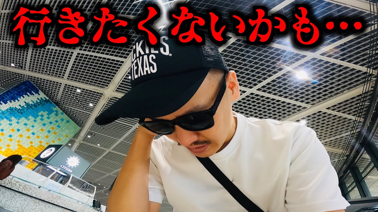 【パニック】搭乗直前に飛行機で海外に行くのが怖くなった結果…