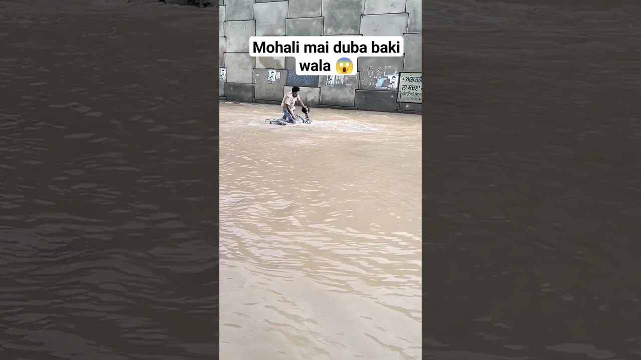 Mohali flood😱#youtubeshorts #shortvideo #mohali #flood #shorts #viral #trending #comedy #short
