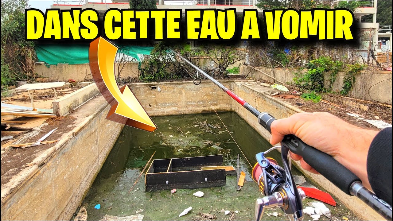 Je sauve 50 poissons de la mort